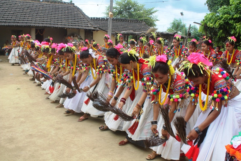 Youths step up efforts for preserving traditional Tharu dance