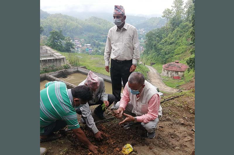 Eighth Tanahun festival on January 22