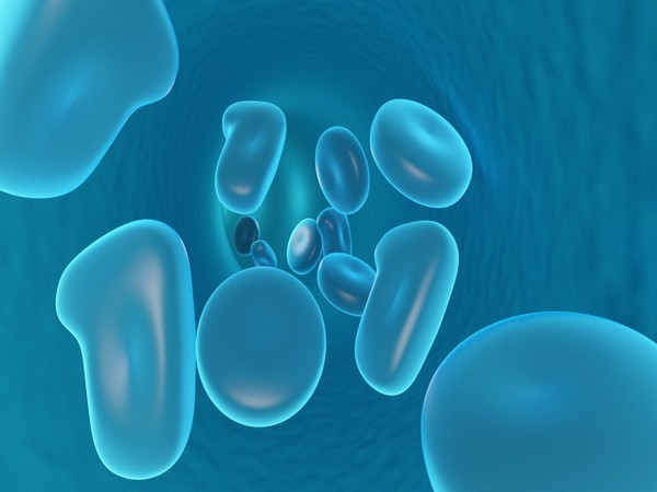 How T cells differentiate between friend and foe- Research