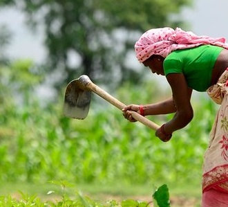 Save agriculture from climate crises