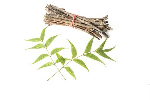 Bachelor’s level classes begin in Ayurveda Science