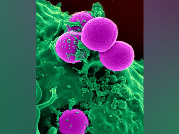 Research provides roadmap to HIV eradication via stem cell therapy