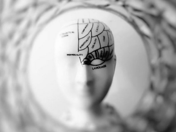 Research explores why the memory of fear is seared in brains