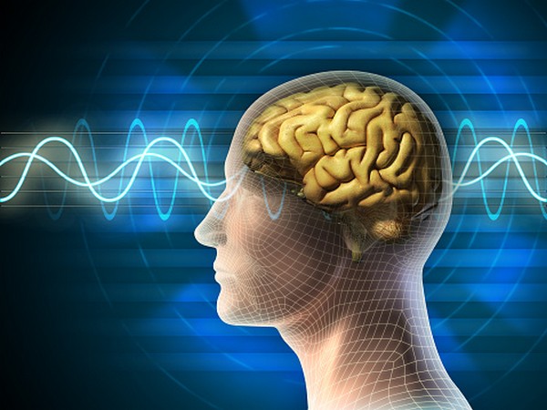How brain uses nutritional state to regulate growth