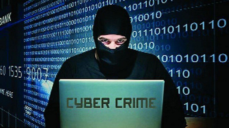 Palpa records 53 cyber complaints in 11 months
