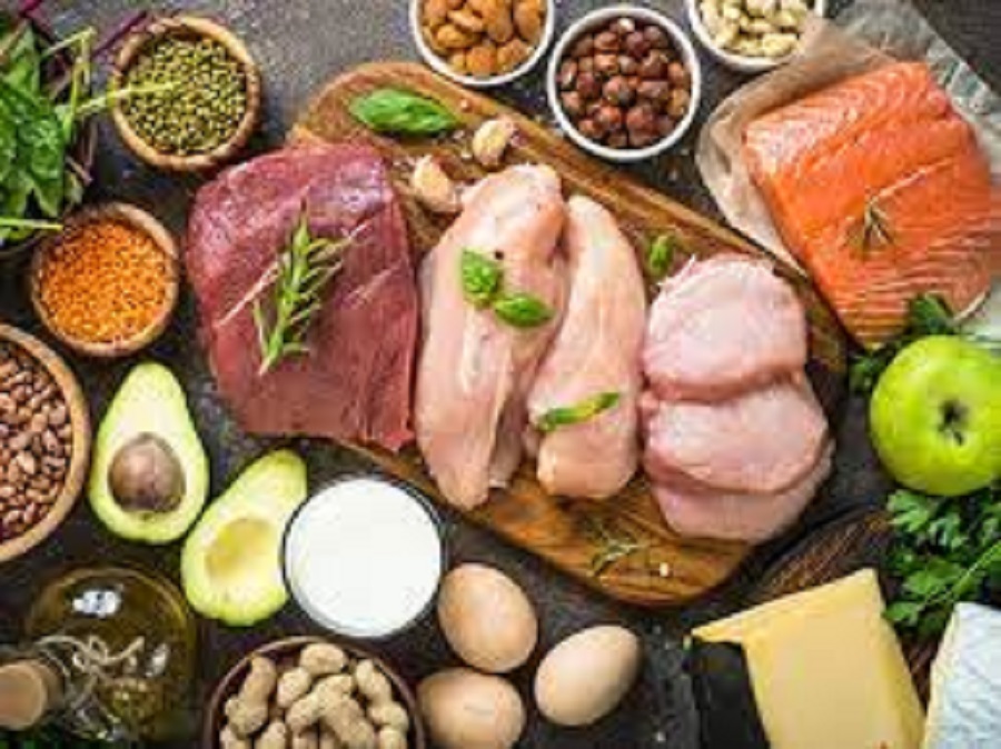Both high-protein, normal-protein diets are effective