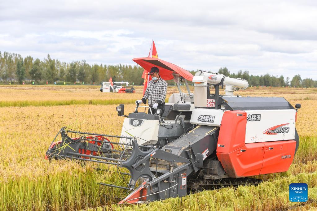 Chinese farmers embrace harvest festival