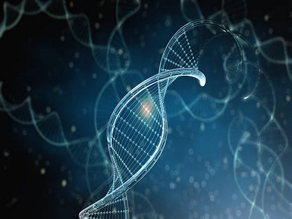 Genetics predict bladder cancer therapy response