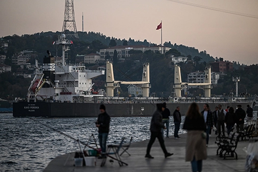 Six grain ships leave Ukraine ports after Russia rejoins grain deal