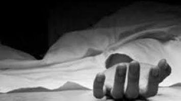 Man kills wife and children, dies by suicide later
