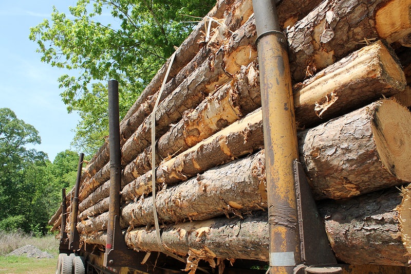 Dhankuta exports timber worth more than 500 million