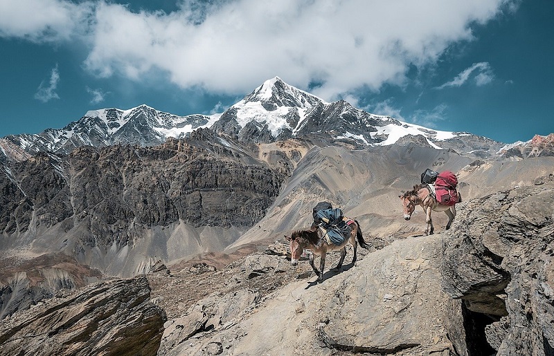 Adventure Half Marathon to take place at Kanchenjunga Base Camp
