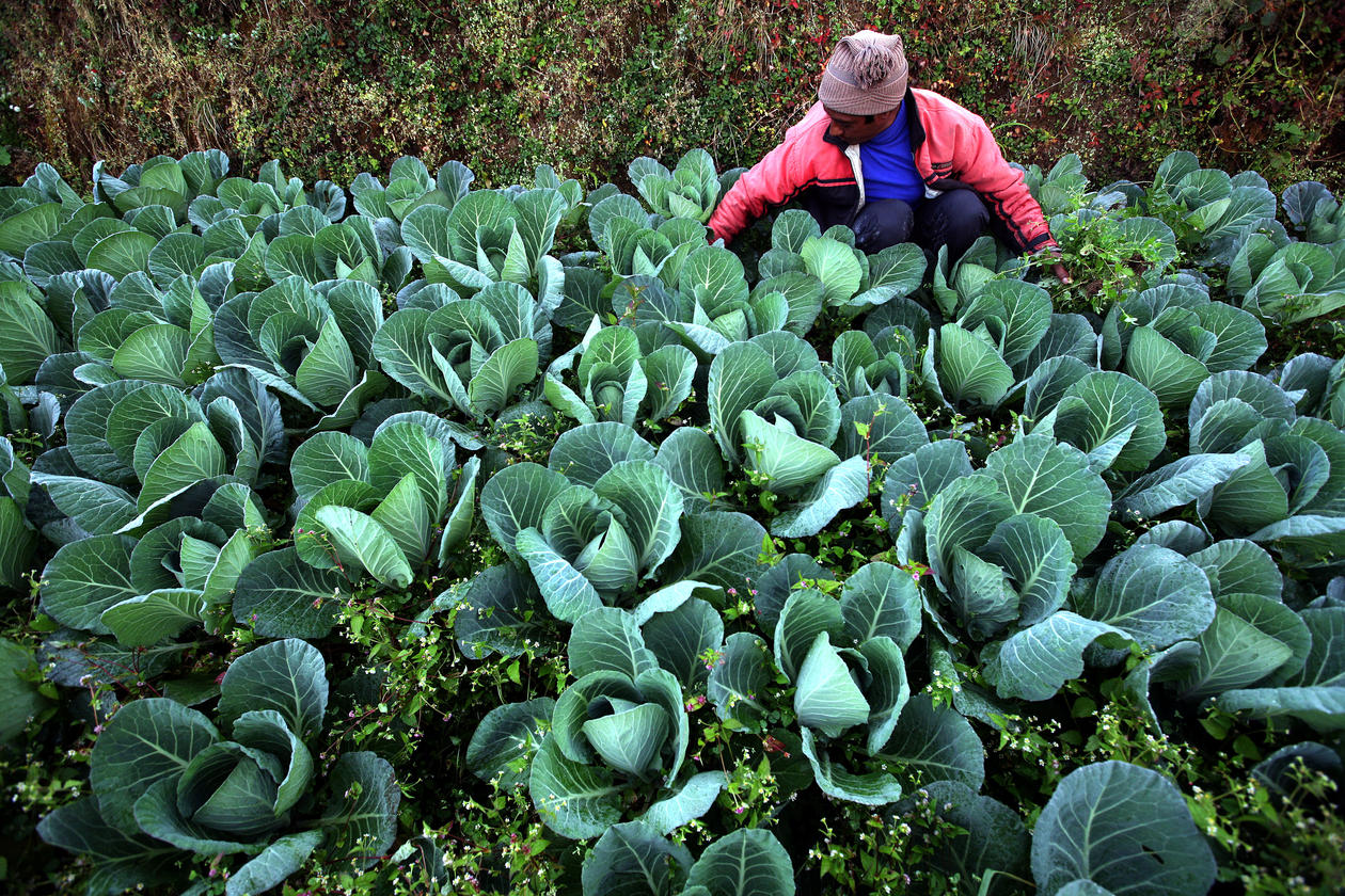 Balancing environmental conservatism and human development