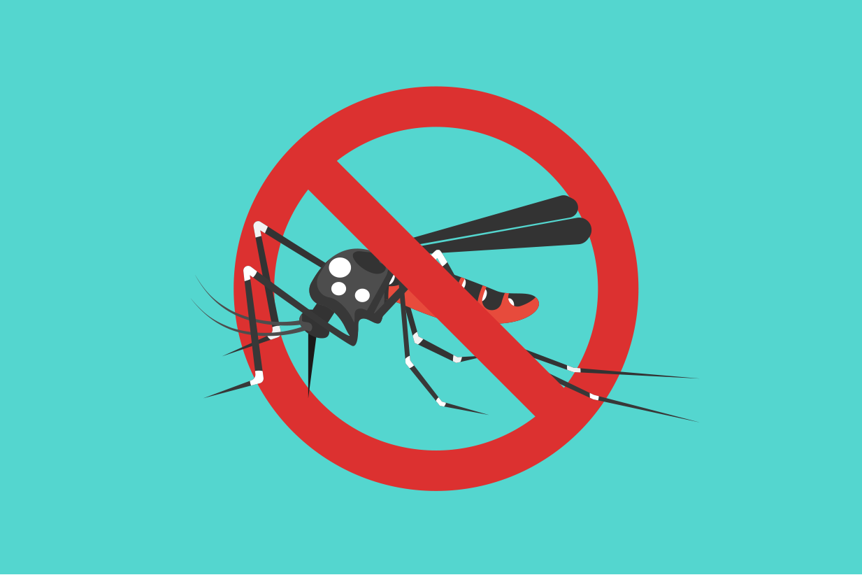 Dengue infections slowdown in September