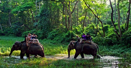 Wildlife, national park problems elusive in candidates’ agenda