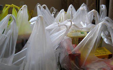 Committed to free country from plastic pollution: Minister Yadav