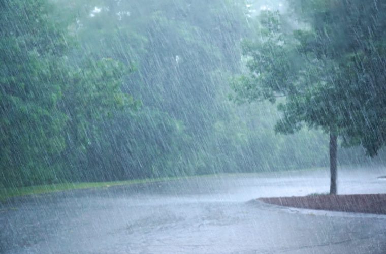 Weather Update: Probability of rain for the next three days