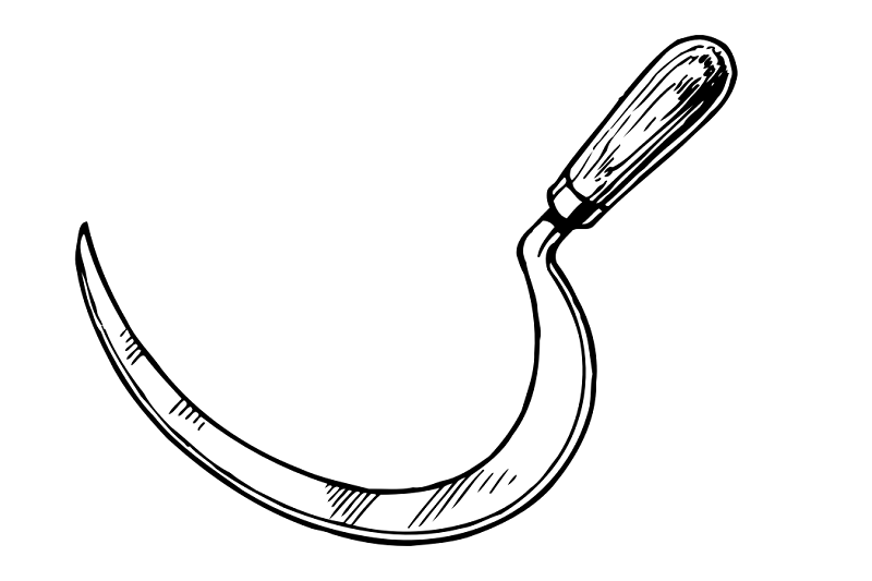 Man kills wife with a sickle in Parbat