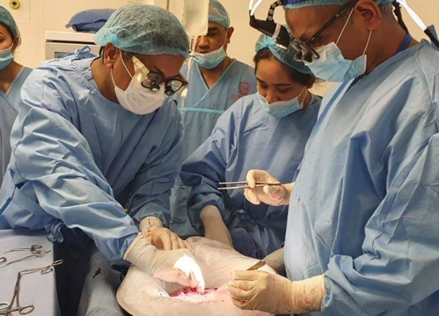 80 percent of kidney donors are women