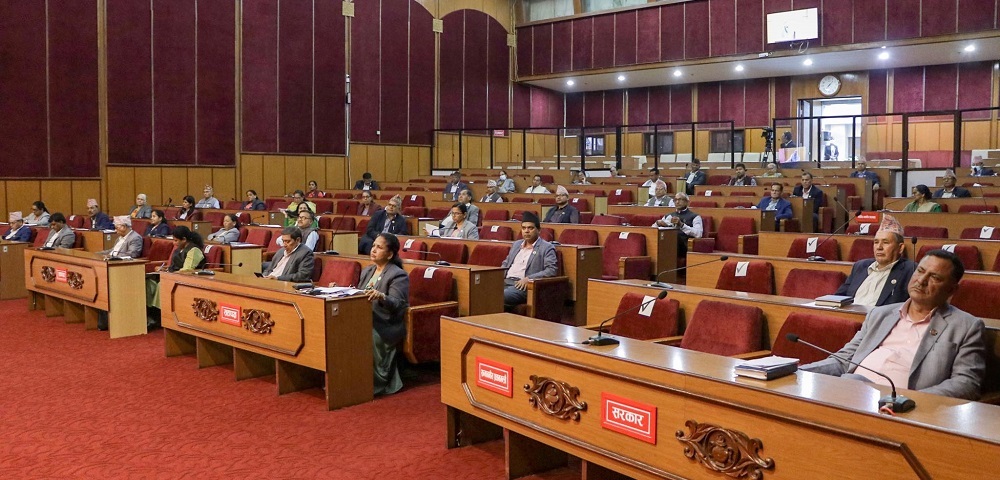 National Assembly draws government’s attention