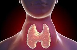 The Hidden Signs of Thyroid Problems and How to Detect Them