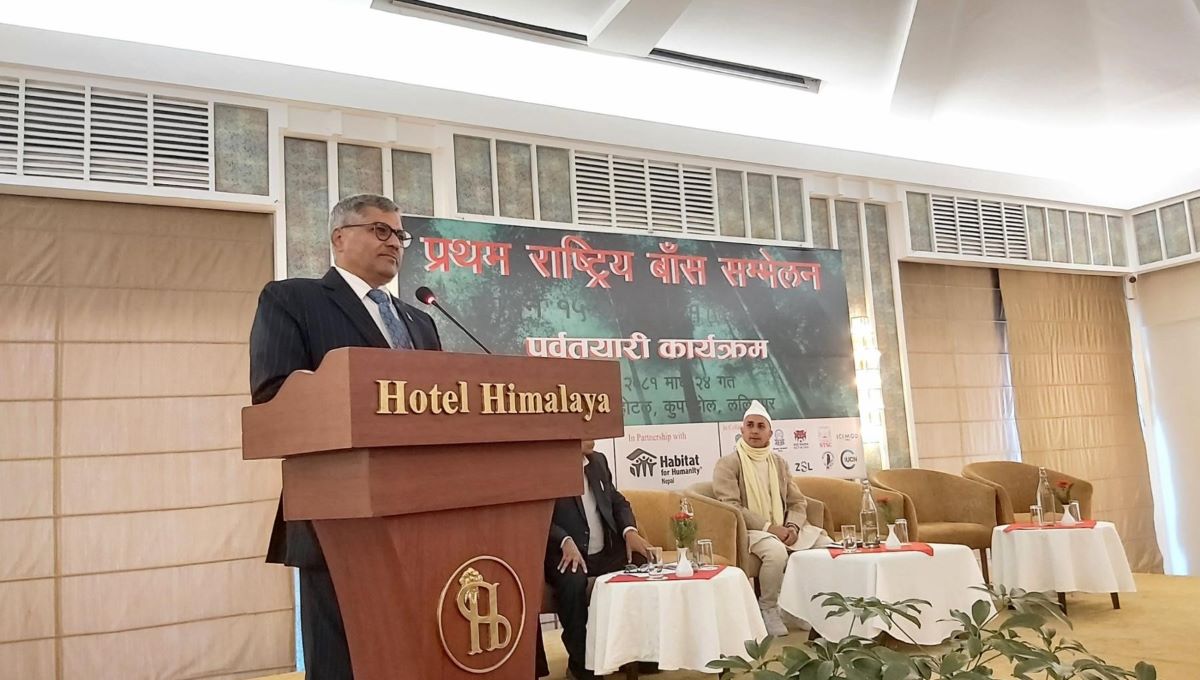 Bamboo Conference from March 27, NRB Governor calls for its use for green economy