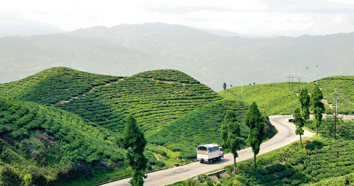 Ilam District: A Hidden Gem of Nepal’s Koshi Province