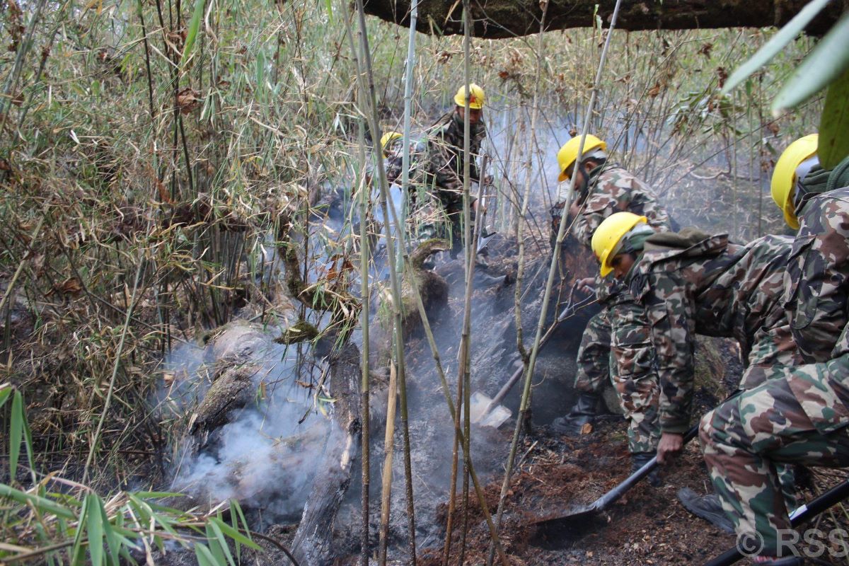 Manang wildfire not brought under control even after 10 days