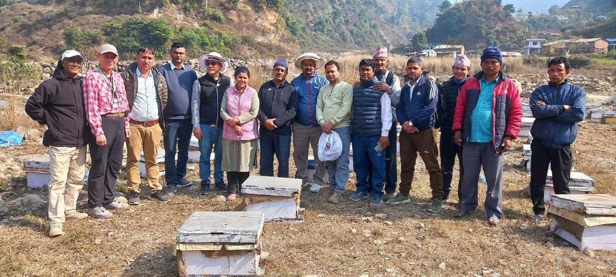 Tropilaelaps mite detected in beehives for first time in Nepal