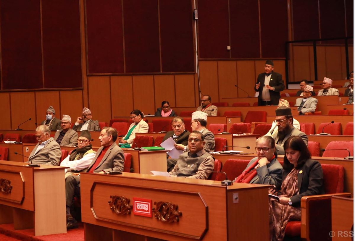NA thematic committees’ members reshuffled