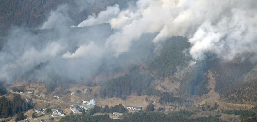Japan deploys nearly 1,700 firefighters to tackle forest blaze