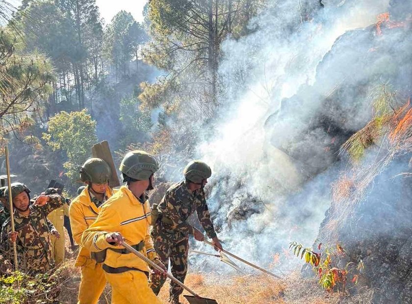 Fire engulfs two community forests in Palpa