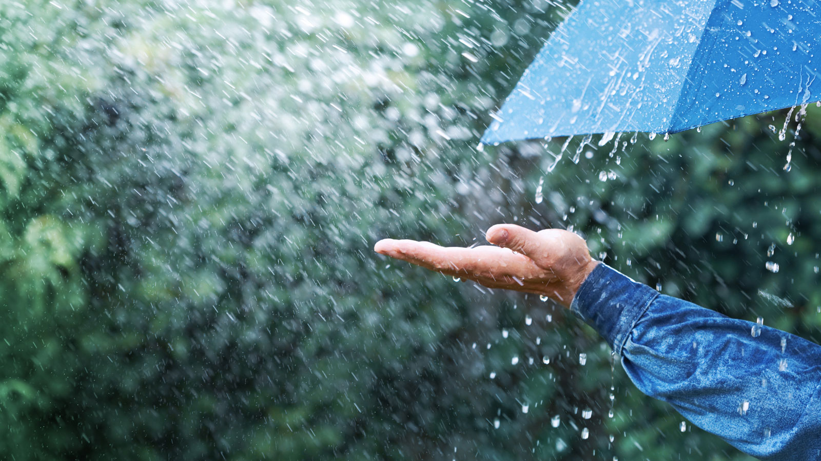 Rainfall in three provinces