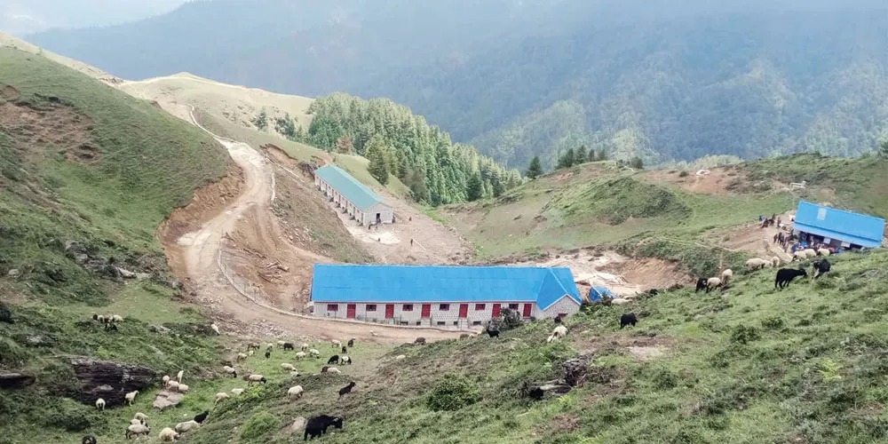 Livestock service centre resumes after a year