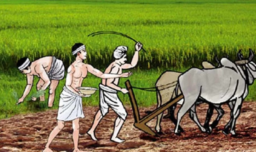 Three best farmers awarded