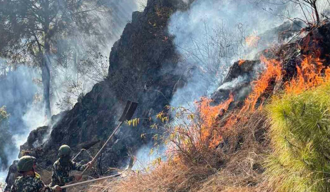 Palpa fire causes damages to four community forests