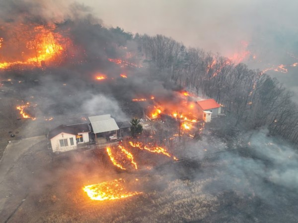 South Korea: Death toll rises to 18 as wildfires spread in southeastern region of country