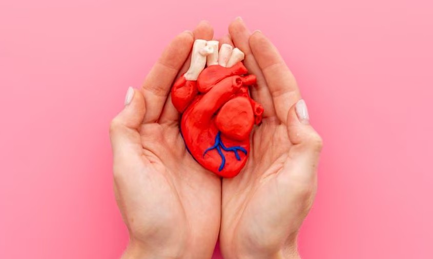 Biomedical engineers build world’s smallest pacemaker