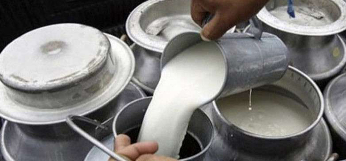 Cash incentives to increase milk production