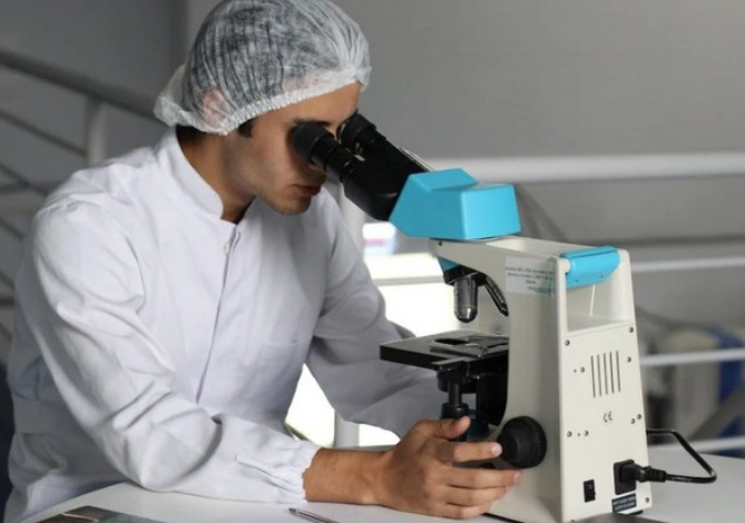 Groundbreaking study reveals how our brain learns