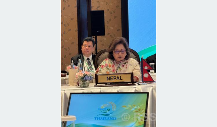 BIMSTEC should uphold spirit of regional unity and collective cooperation: Minister Dr Rana