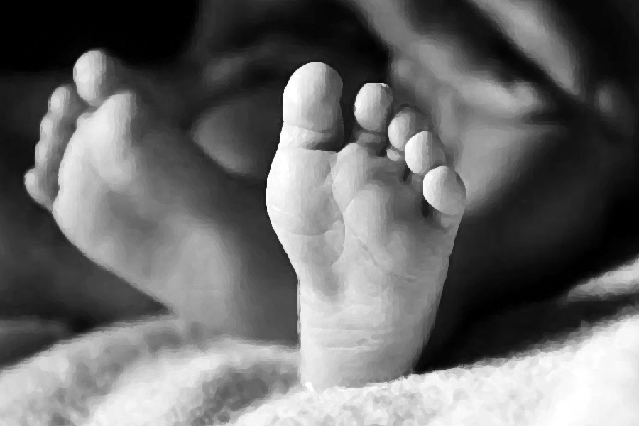 Infant dies from snakebite in Kapilvastu
