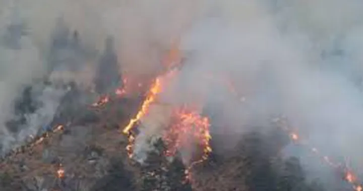 Woman dies in wildfire, four injured