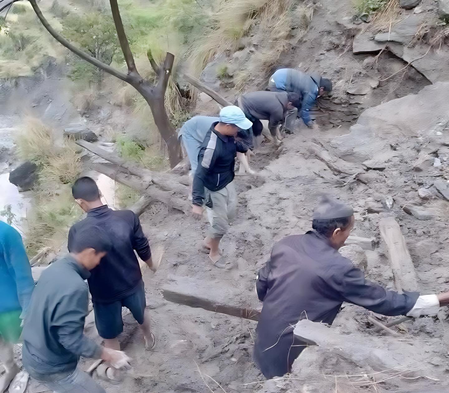 26 goats perish after flash flood, mudslide buries shed in Humla