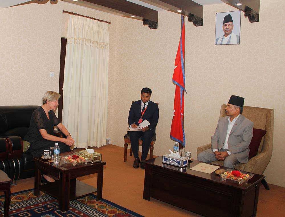 EU Ambassador pays courtesy call on Vice President Yadav