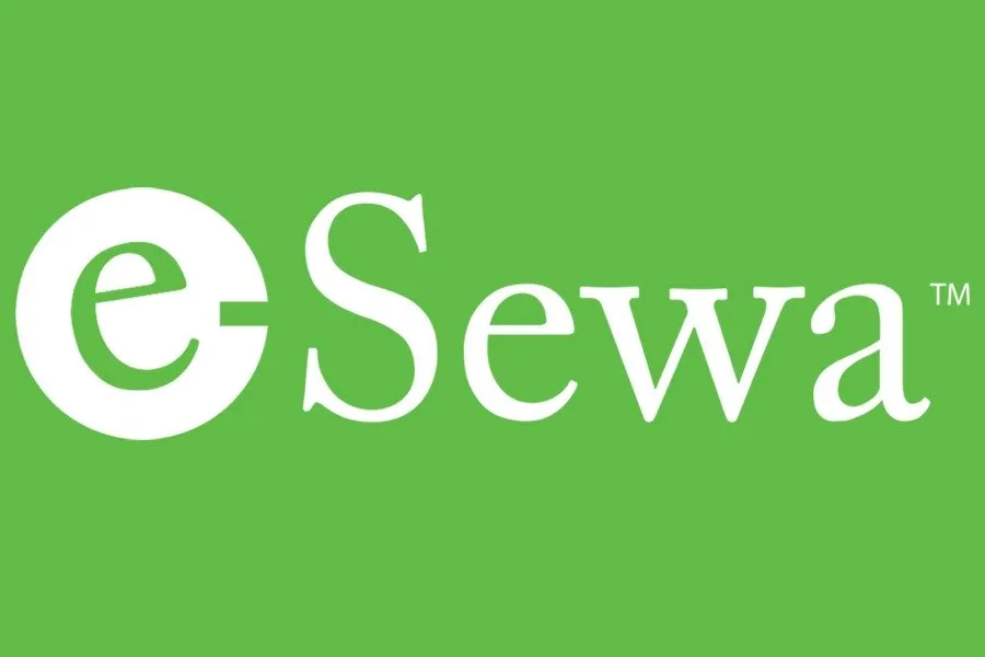 Hacker transfers Rs 10 million from e-Sewa account