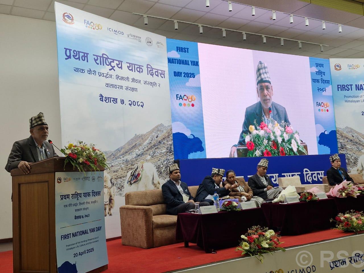 First National Yak Day: Agriculture Minister calls for organized efforts to protect yaks