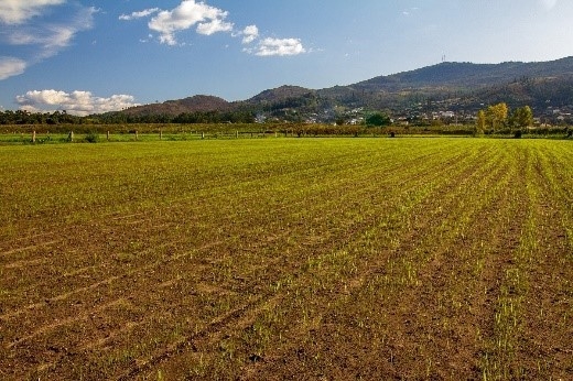 Farmers elated as they get agriculture tools at subsidized rate