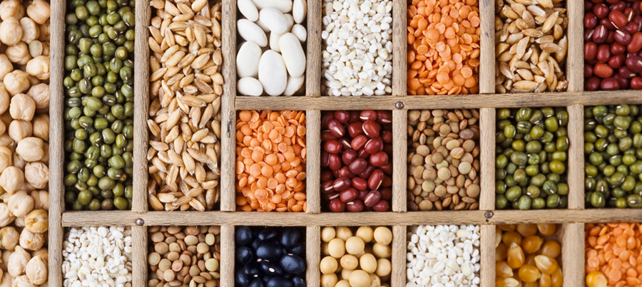 Seed bank to preserve indigenous crops in Tulsipur