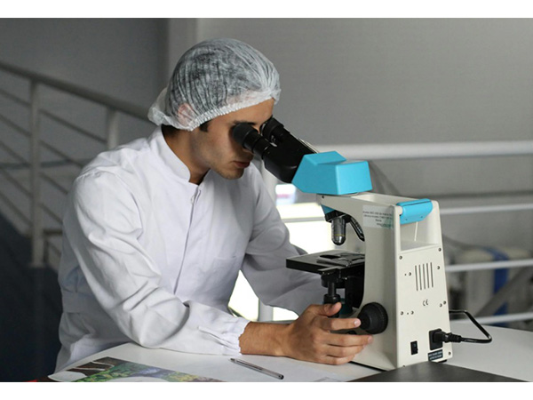 Ageing reduces CAR-T cell effectiveness by impairing metabolism, study shows